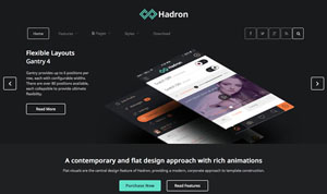 وب سایت آماده شرکتی برای وردپرس - Hadron